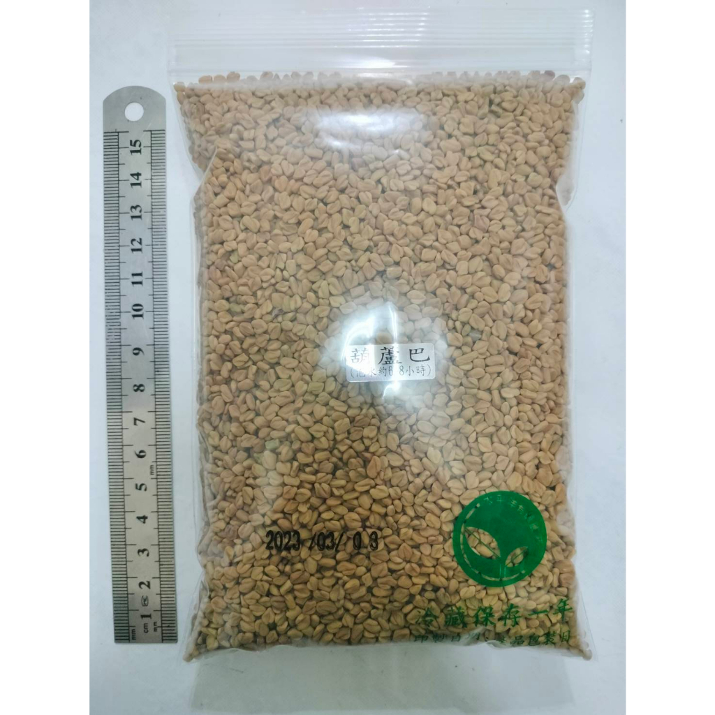 葫蘆巴豆種子300g-印度-約18000顆-可水耕/土耕/煮食/泡茶-85%以上高發芽率-芽菜種子/生菜種子/芽苗菜種子