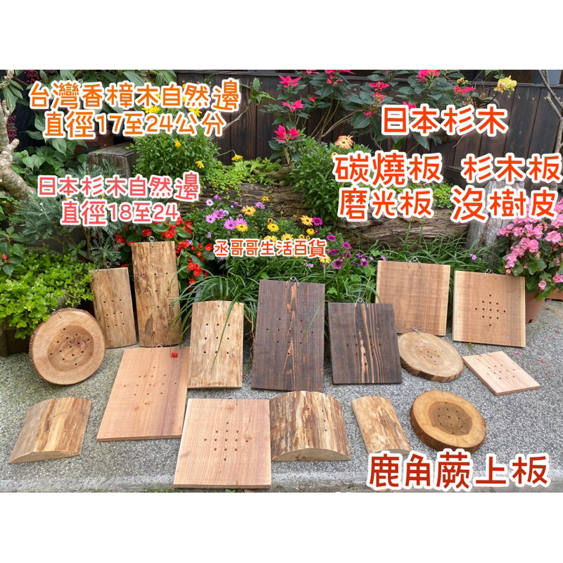 日本杉木 鹿角蕨上板 杉木板 磨光板 碳燒板 沒樹皮 台灣香樟木 日本杉木自然邊 看商品詳情