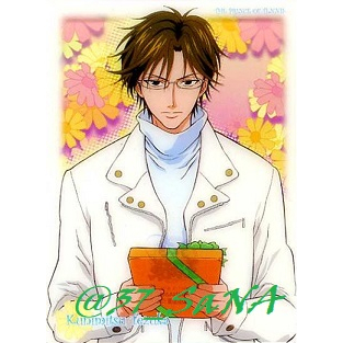 【透明塑膠卡片⁵⁶青學】➠多款◇網球王子》越前龍馬,手塚國光,桃城武,不二周助,菊丸英二,大石,海堂薰,河村,乾貞治