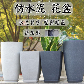 【臺灣現貨 免運】 仿水泥盆 花盆 水泥盆 淺灰 大花盆 水泥花盆 陶瓷花盆 多肉花盆 水泥盆栽 控根盆 塑膠花盆