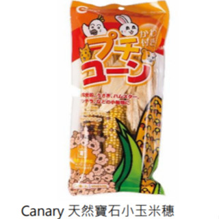 Canary 天然寶石小玉米穗-3入 M-S025 乾燥玉米 倉鼠 兔子 鸚鵡