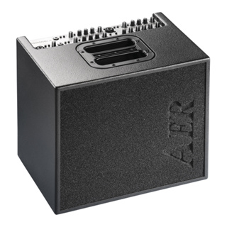 AER Domino 2A 音箱 四組input 100W 內建16種效果 公司貨【宛伶樂器】