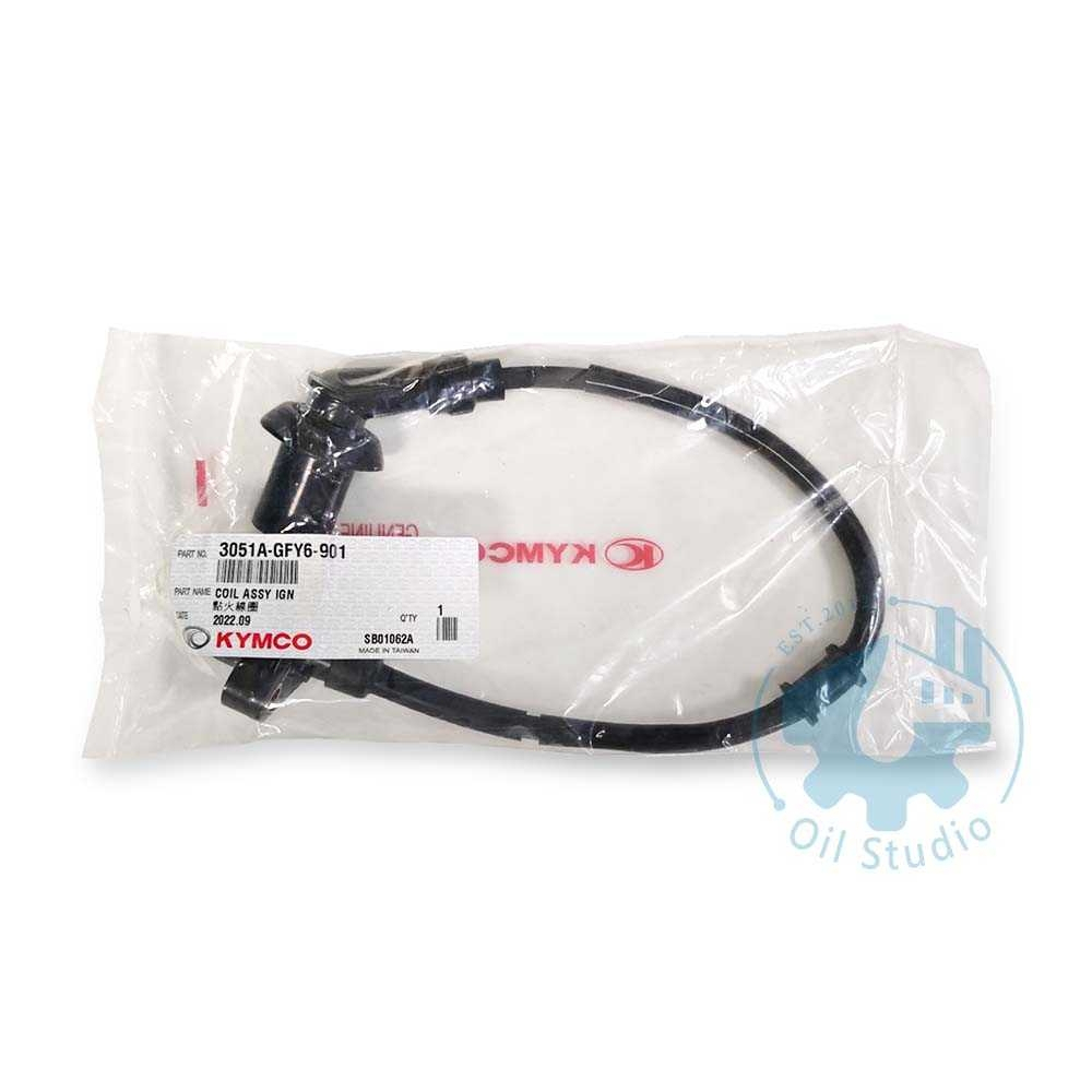 《油工坊》KYMCO 光陽 GFY6 點火線圈 高壓線圈 3051A-GFY6-901 G3 G4 奔馳 豪邁 GY6