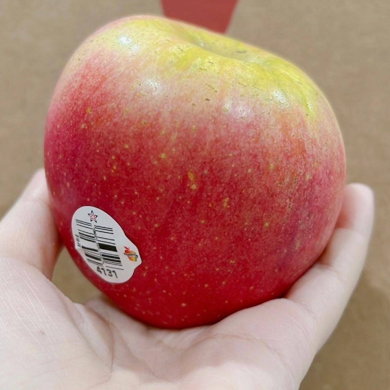 🇺🇸美國大雪山富士蜜蘋果🍎 一組6顆 每顆約265克 ❤️滿額免運【好節果】