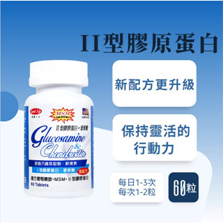 【得意人生】複方葡萄糖胺+MSM+II型膠原蛋白 膜衣錠 (60錠)/瓶