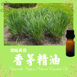 香茅精油🏅 頂級天然單方精油 草本提煉精華 Citronella Ceylon Natural