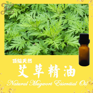 艾草精油 頂級天然單方精油 草本提煉精華 Natural Mugwort Essential Oil