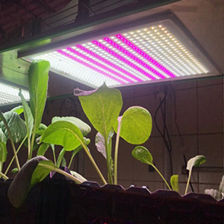 【君沛】燈板 植物成長專用燈 植物生長燈 50瓦 吊掛式 植物燈 雙色溫