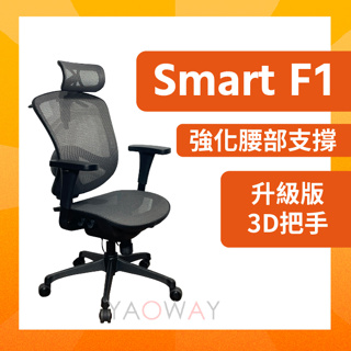 【耀偉】Smart F1 人體工學椅 ✅小個子福音適合女生✅ 全網椅 電腦椅 電競椅