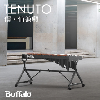 【Buffalo Music】🇹🇼BUFFALO TENUTO系列 TX40XPCC 4組音 49鍵 高音木琴