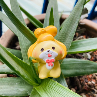 Rainxpluie 知雨若泥 盆栽組盆擺件•花盆DIY•桌面裝飾•微景觀•小狗模型•園藝•小物 汪汪園地-西施啾啾