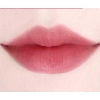 法國頂級植物性口紅粉 清新豆沙 54號 自製唇膏唇釉唇蜜DIY