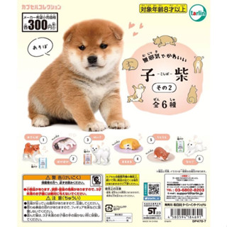 ｜M.aki日本商鋪｜Tarlin 萌萌幼柴造型公仔 P2 柴柴 柴犬 扭蛋 整套6款