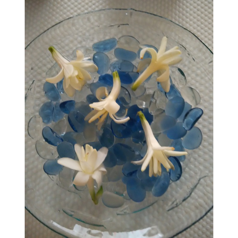 二手品～藍色琉璃淺盤/花器/沙拉缽