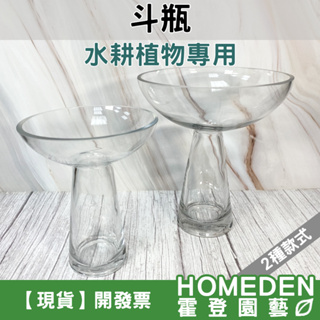 【隔日到貨】鬥瓶 水耕容器 玻璃花瓶 球莖植物 球根植物 百合花 水仙花 風信子 鬱金香 蒲葵【HOMEDEN霍登園藝】