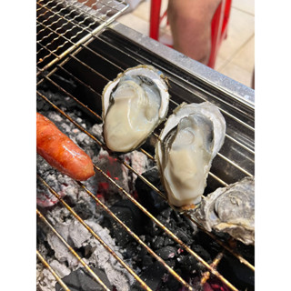 🔥正東石蚵🔥 颱風照常出貨 🔥自產自銷 當日現採 [帶殼鮮蚵/去殼鮮蚵肉]🦪蚵仔 帶殼牡蠣 牡蠣 生蠔 零售 專賣