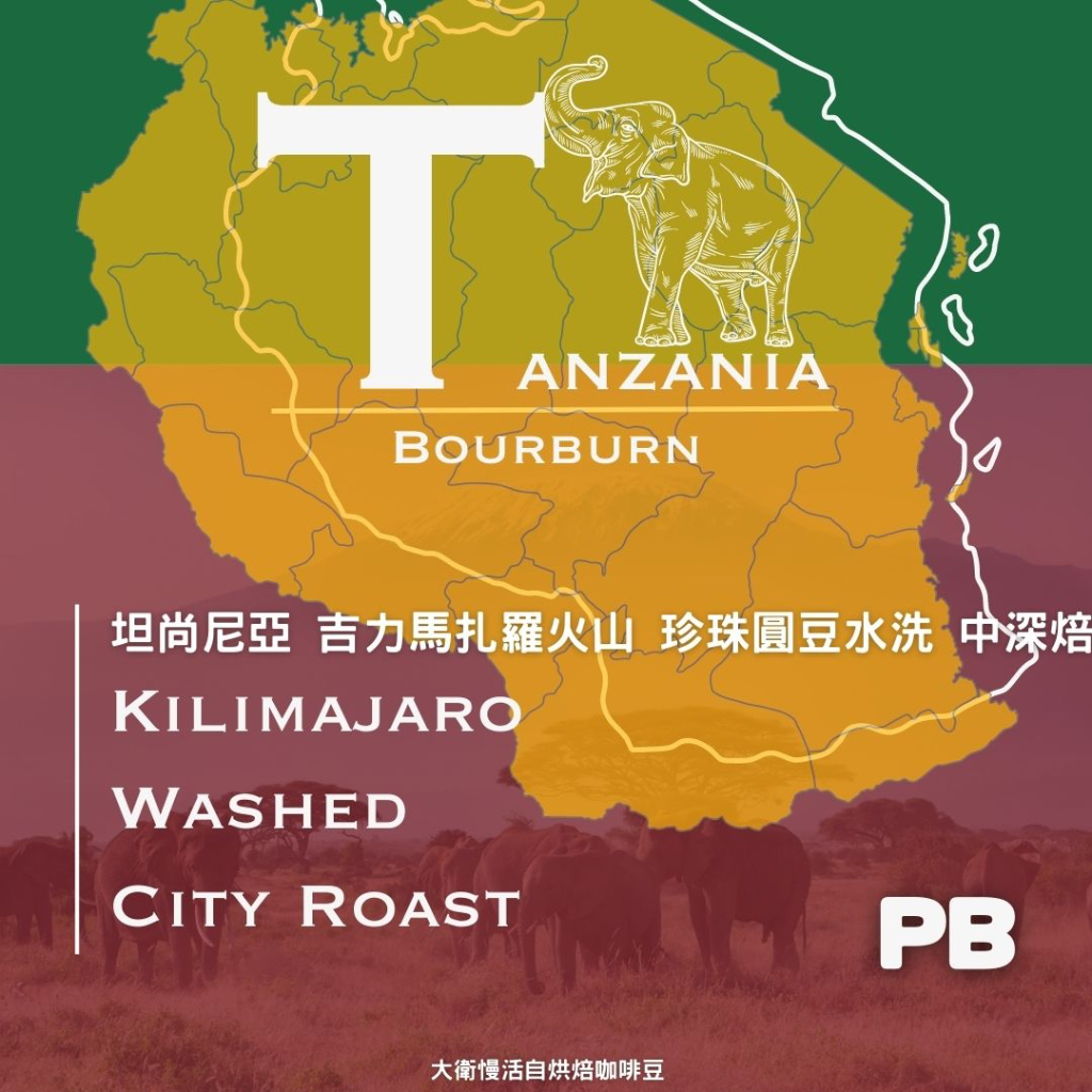 『免運』＿坦尚尼亞 克里曼札羅火山 AAA/PB 水洗 中深焙 堅果 巧克力 非洲 單品 咖啡豆 精品 掛耳 濾掛 半磅