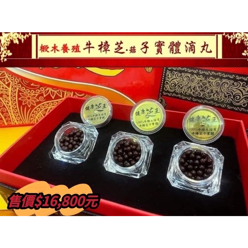 【百年永續健康芝王】 椴木養殖牛樟芝(菇)子實體滴丸 (20G/盒)🔺私訊另有優惠