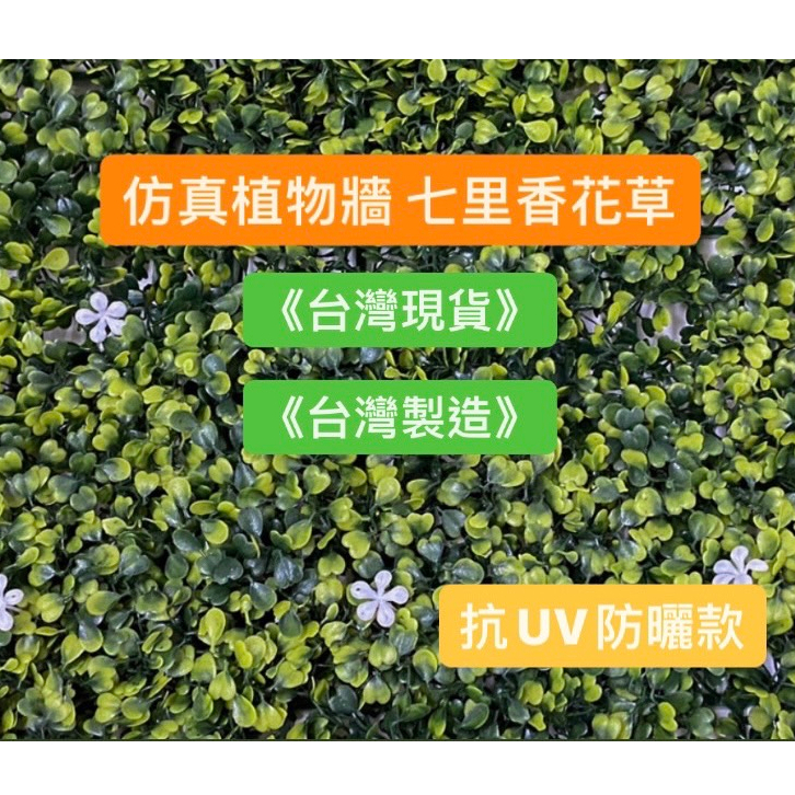 【台灣現貨】 抗UV仿真植物牆 加高加密七里香花草(50cmx50cm/片)