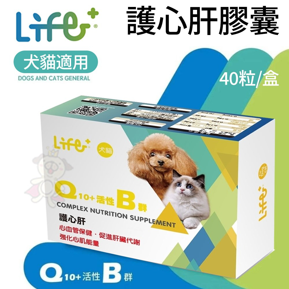 🍜貓三頓🍜LIFE+《護心肝 C1O-Q10+B群》40粒/盒 適用犬貓 心臟保健