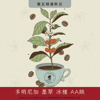 (咖啡熟豆) 獵豆工坊🐆 (中烘焙) 多明尼加 墨翠 冰種 AA級 咖啡豆 225g /450g