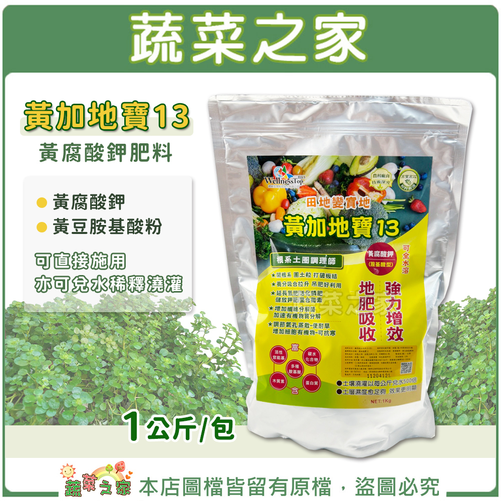 【蔬菜之家滿額免運】黃加地寶13黃腐酸鉀肥料 (1公斤裝)4-0-13.5黃腐酸鉀、黃豆胺基酸粉，可直接施用