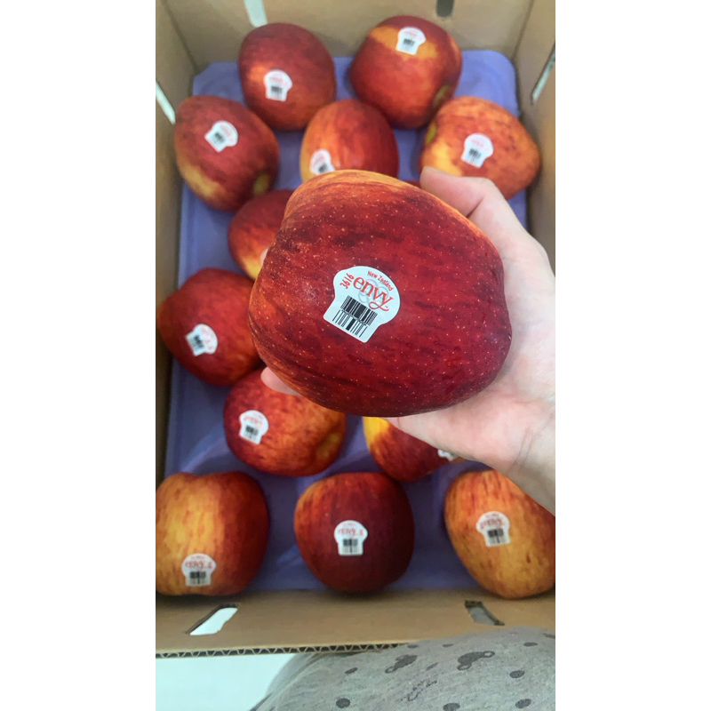 《小鮮肉大水果》紐西蘭愛妃蘋果envy羨慕蘋果🍎禮盒裝250-370g大顆