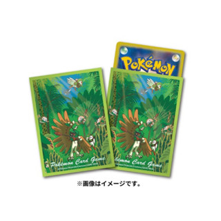 卡片通 現貨 寶可夢 PTCG 狙射樹梟 投羽梟 木木梟 進化的軌跡 第二層 卡套 牌套 64枚 全新未拆