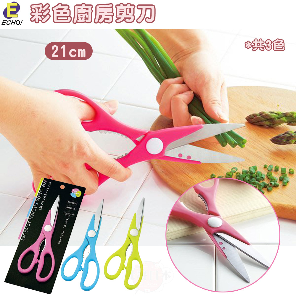 🍁【免運活動】廚房用剪刀 日本ECHO 彩色廚房剪刀 烹飪 調理用具 (3色) 4991203155108  🍁