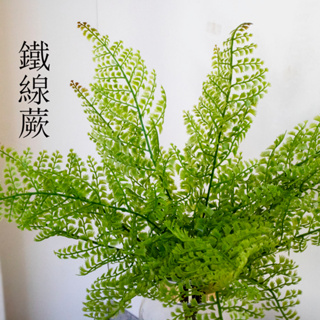 現貨✔ 仿真蕨類【鐵線蕨】 /植生牆綠化攝影道具花藝裝飾婚禮佈置