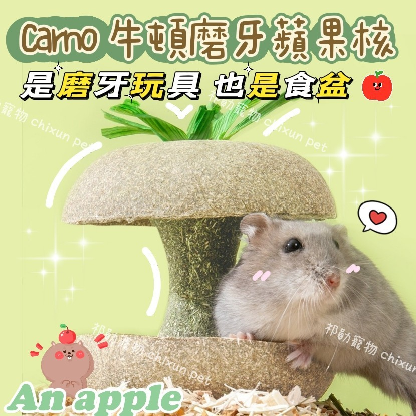 【現貨】Carno卡諾蘋果核食盆玩具 天然原料 啃咬玩具 小寵玩具 天然磨牙玩具 龍貓  黃金鼠 倉鼠 兔子 天竺鼠