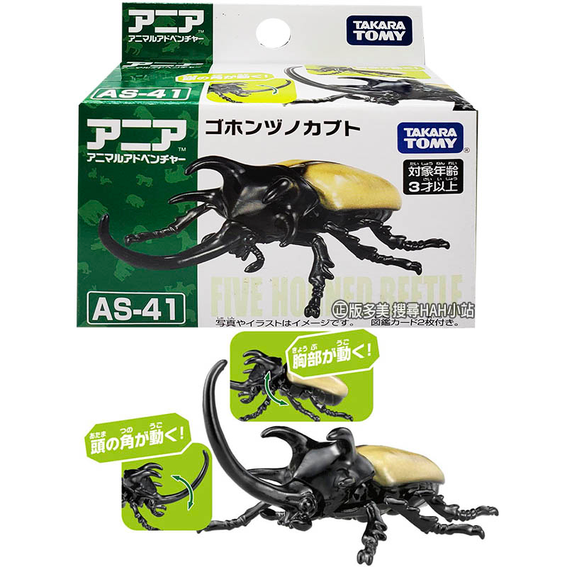 【HAHA小站】AN90852 全新 正版 AS-41 五角甲蟲 TAKARA TOMY 多美 昆蟲 獨角仙 模型 玩具