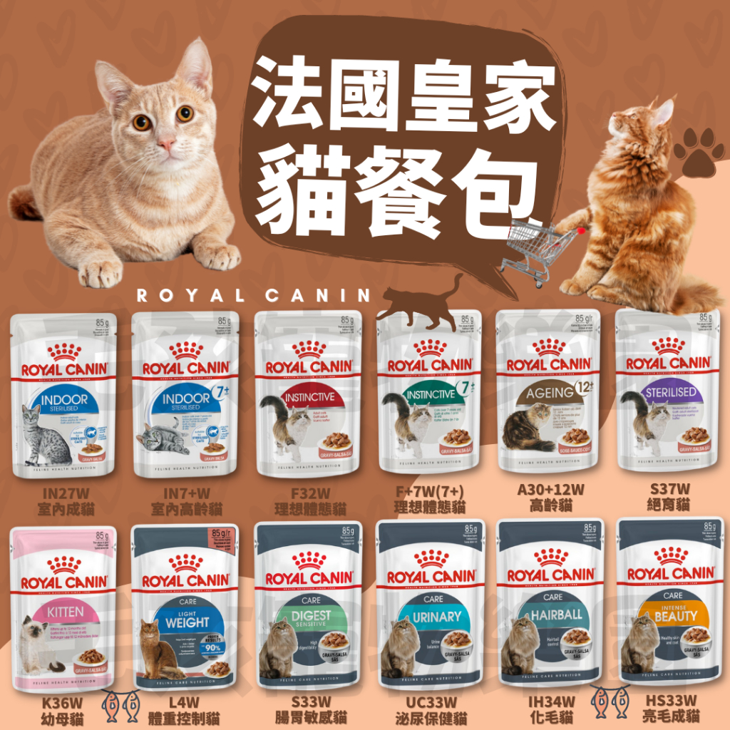 毛孩寵物樂園🐈貓咪喜歡🐈Royal Canin 法國皇家 貓咪濕糧餐包系列 85g🍭貓餐包 貓濕糧🐱貓咪餐盒 貓主食罐😻