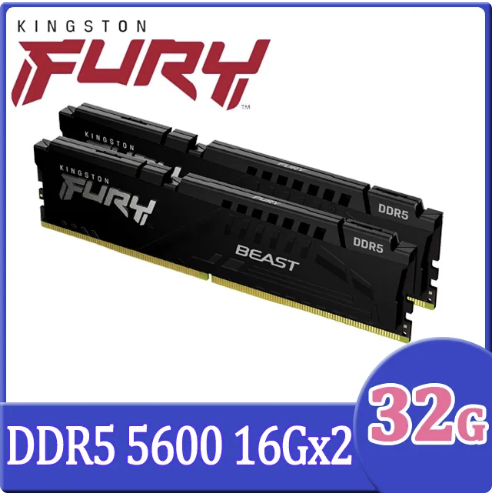 金士頓 Kingston FURY Beast 獸獵者 DDR5 5600 32GB(16GBx2)(可議價)