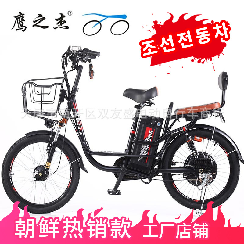 朝鮮新款電動自行車依蘭公主48v鋰電池電瓶車