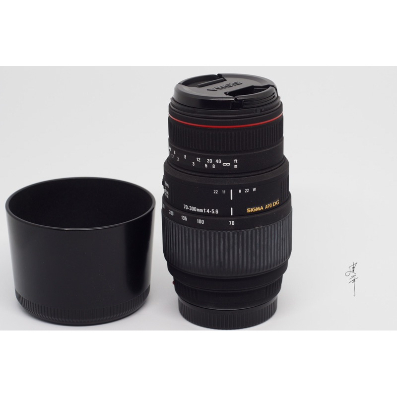 SIGMA APO 70-300mm for A-mounr 入門長焦銳利之最