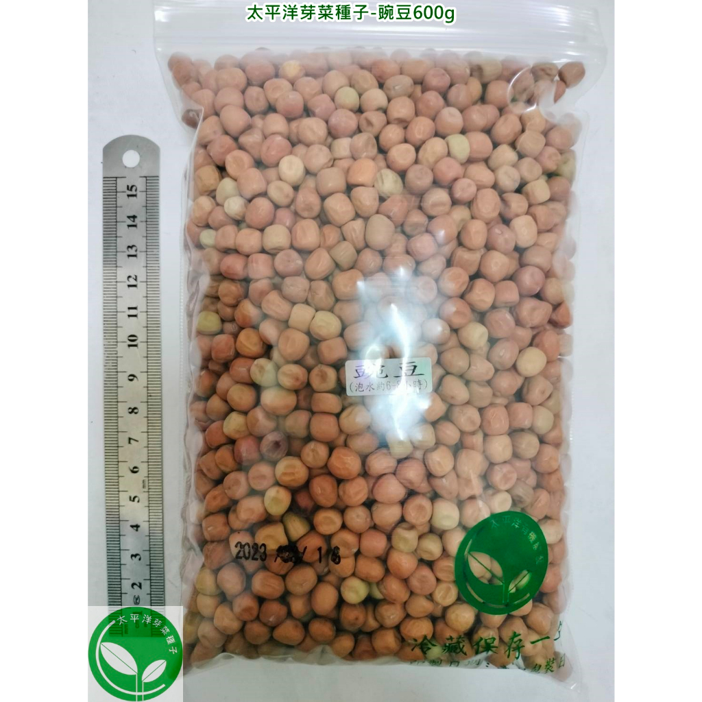 豌豆種子/荷蘭豆600g-澳洲-約2280顆-可水耕/土耕/煮食-85%以上高發芽率-三日苗芽菜種子/生菜種子/土耕種子