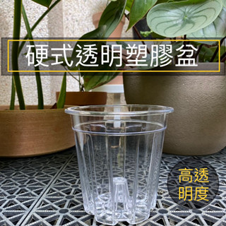🔺現貨🔺 透明塑膠盆 塑膠盆 控根盆 透明盆 透明控根盆 觀葉盆 茶色盆