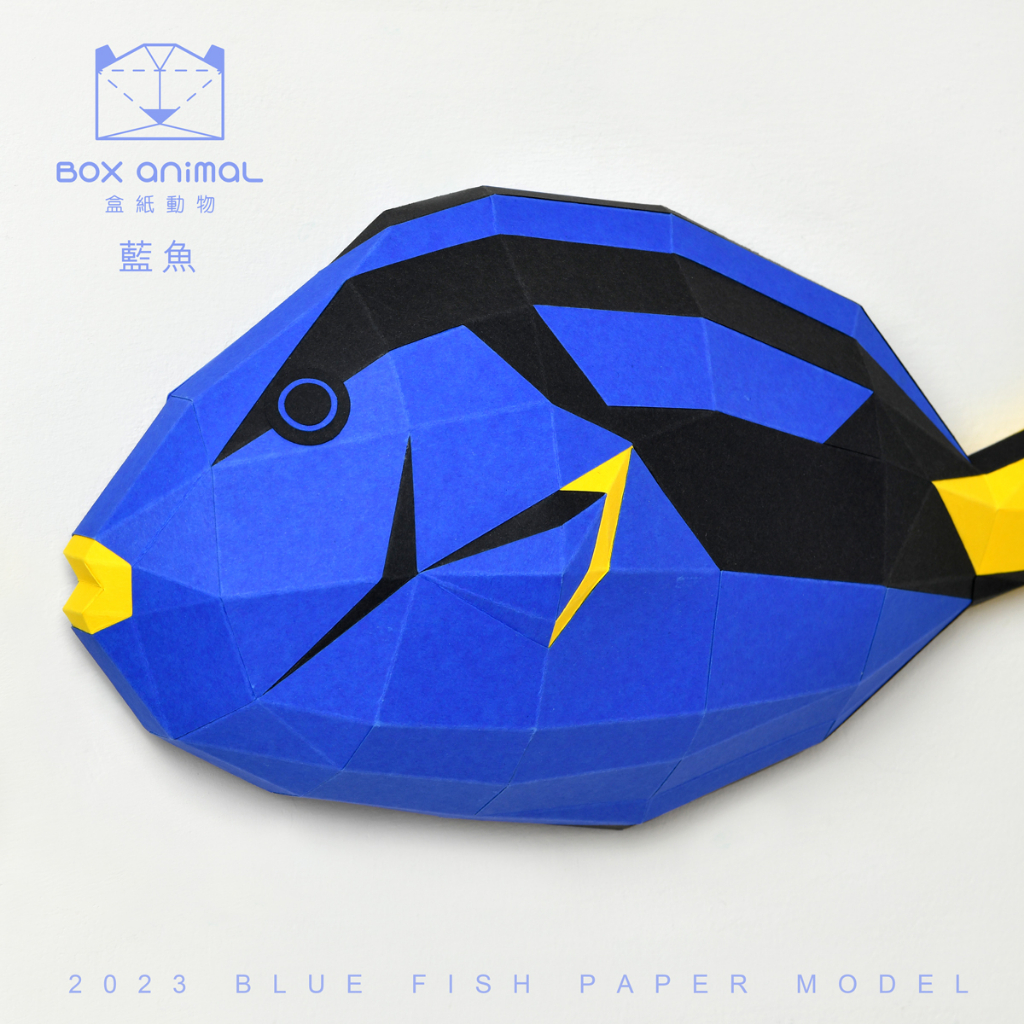 盒紙動物-3D紙模型-做到好成品-海洋系列-藍魚-海洋生物 擺設 掛飾