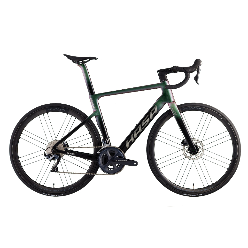HASA RSX 碟煞公路車 全隱藏線 變色龍的價格推薦 - 2025年12月 | 比價比個夠BigGo