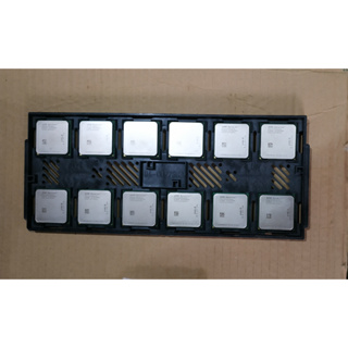 AMD Opteron socket 939 CPU 伺服器 處理器 DIY 升級 收藏 煉金 隨機出貨