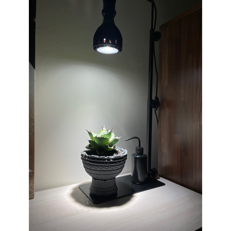 Solskin蔓生/美國UL陶瓷燈座+塊根植物架