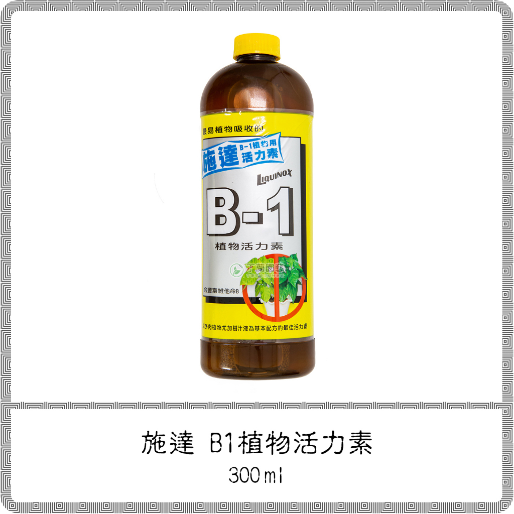 施達 B1活力素 300ml / 觀葉植物 植物營養劑 活力素