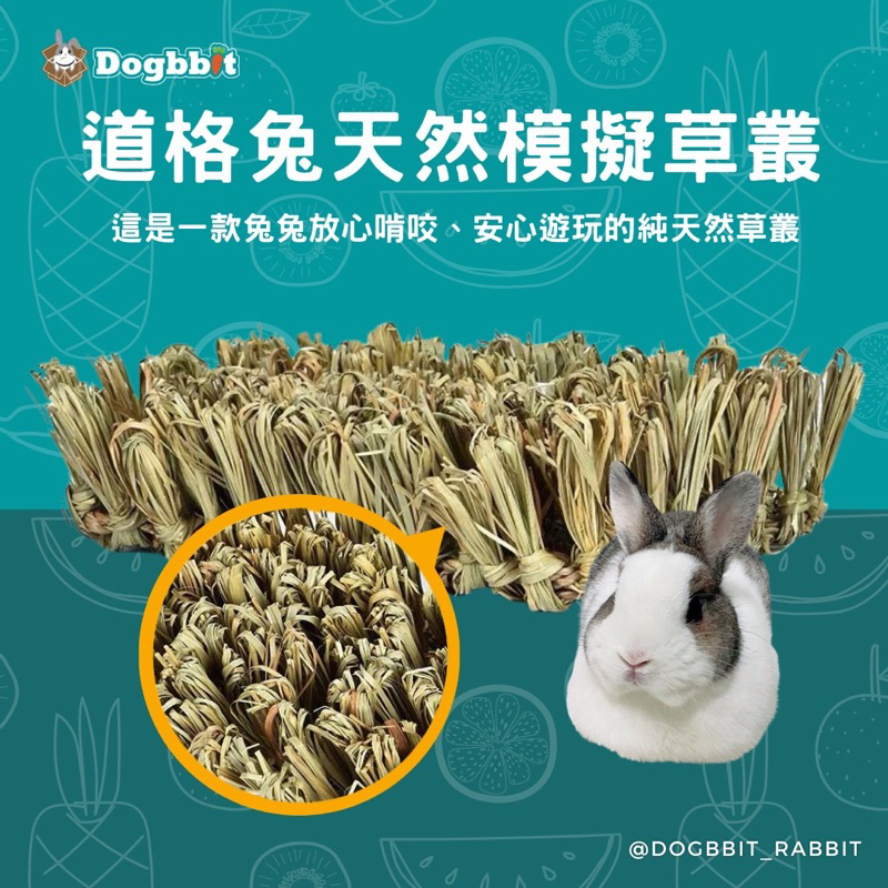 道格兔Dogbbit｜抗憂鬱用品系列【草編模擬草叢】草窩 兔窩 草墊 兔子窩 兔子玩具 牧草窩 兔子磨牙 龍貓 天竺鼠