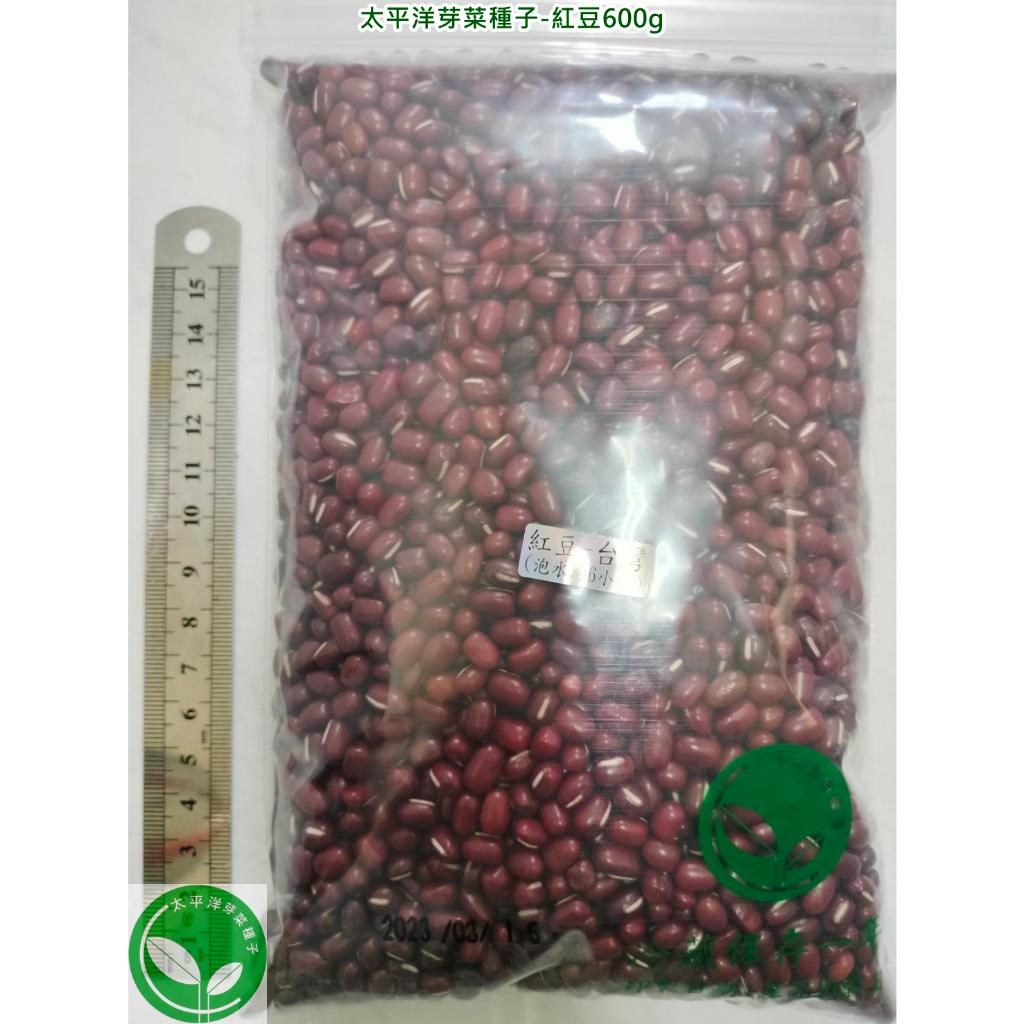 正宗台灣紅豆種子600g-屏東-約4200顆-可水耕/土耕/煮食-85%以上高發芽率-芽菜種子/生菜種子/芽苗菜種子