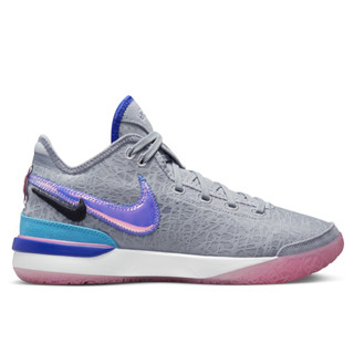 NIKE ZOOM LEBRON NXXT GEN EP 灰紫藍綠粉【A-KAY0】【DR8788-002】