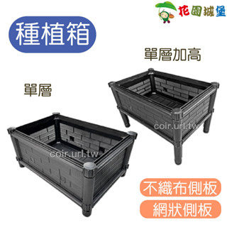 現貨-DIY栽培箱 組合式有機種植箱 單層 單層加高 陽臺種菜 栽培箱 組合式種菜箱 花槽 菜槽 無洞底盤 食農教育