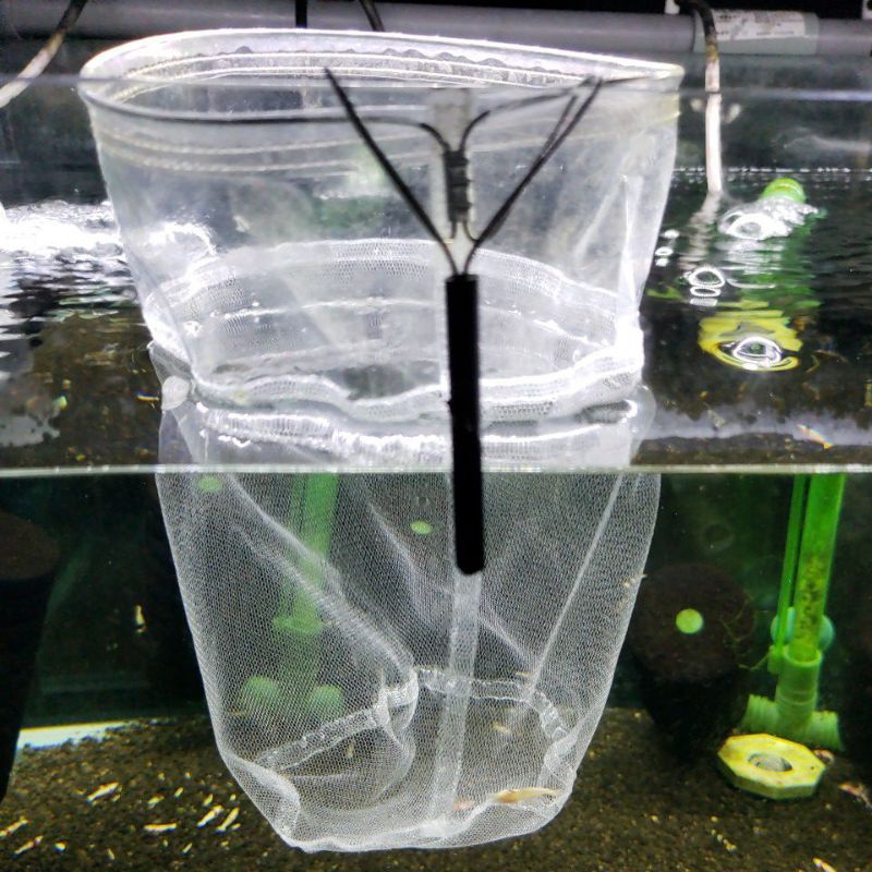 ❤HCH水晶蝦的窩❤手工製魚蝦脫糞網 隔離網適合各類魚缸玻璃厚度