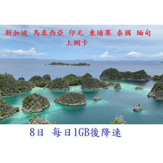 8日 新加坡 馬來西亞 印尼 柬埔寨 泰國 每天1GB後降速 隔日恢復