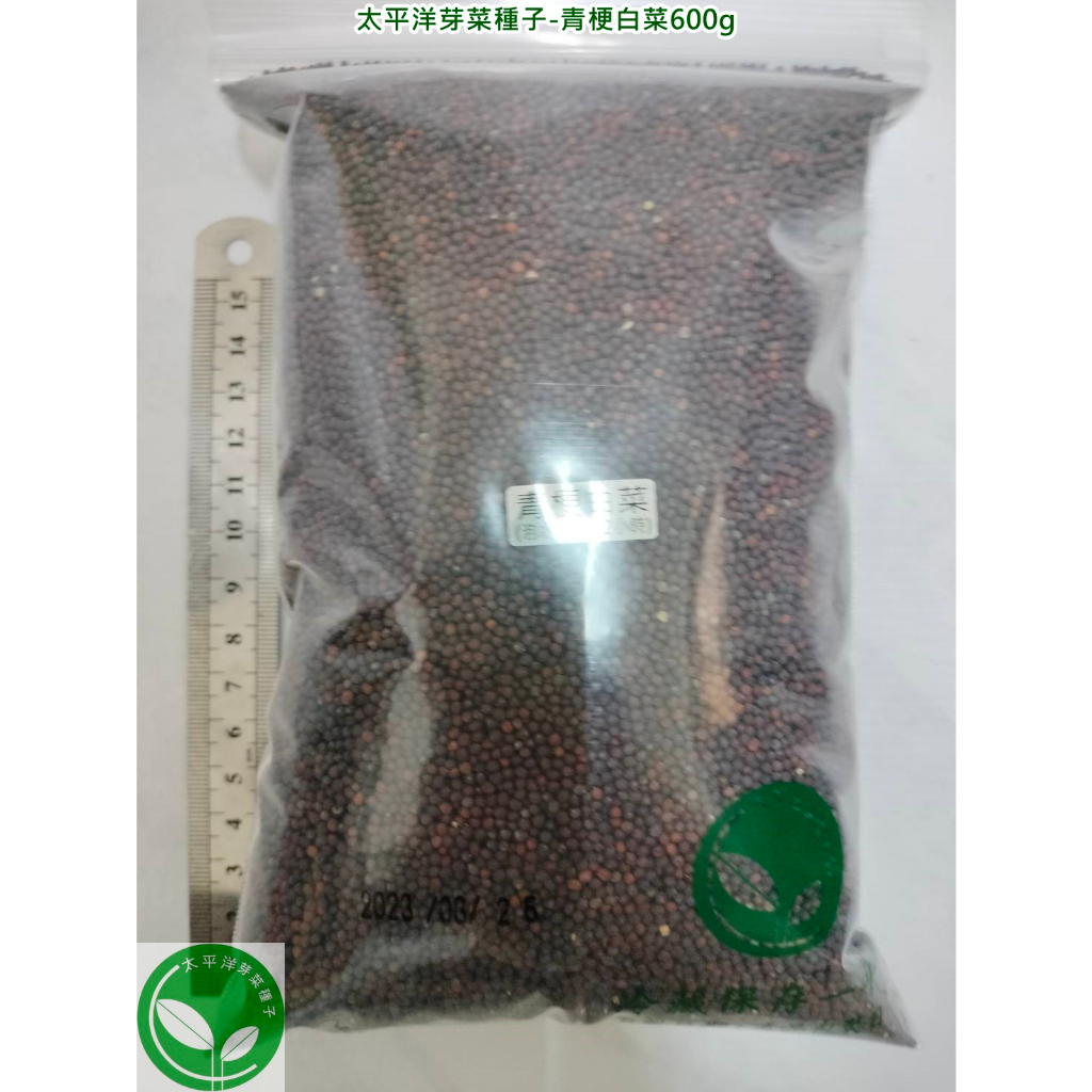 青梗白菜種子600g(青江菜)-日本-約120000顆-可水耕/土耕-85%以上高發芽率-芽菜種子/生菜種子/芽苗菜種子